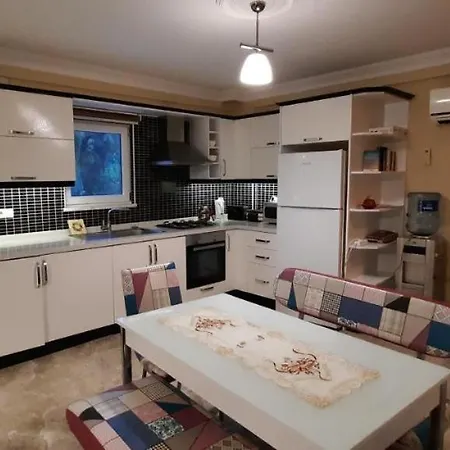 Maison Villa Ortaca (Mugla)