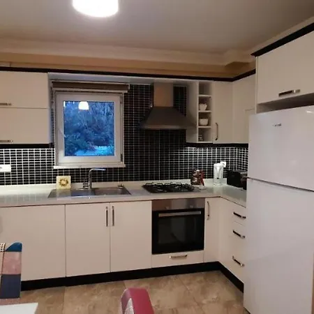 Maison Villa Ortaca (Mugla)